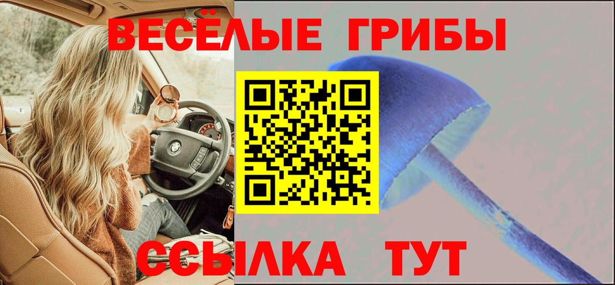 Северодвинск  Псилоцибиновые грибы мицелий  Вход с VPN 